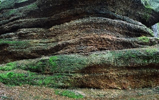 Szkucin 5 fil