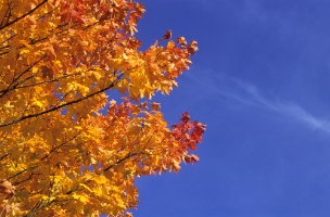jesienny sky