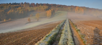 [Group 0]- BGF9527  BGF9528-2 i small  Szlak na G. Włochy