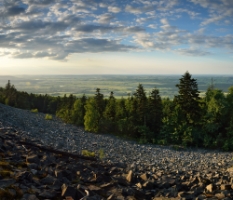 [Group 1]- BGF8687  BGF8688-2 i