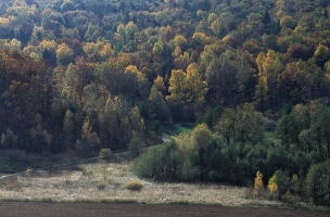 Broniszowice jesien 2 fil