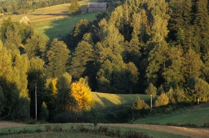 Czyzow fil