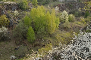 BGF0485i