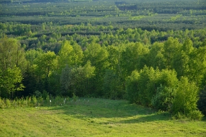 BGF0522i