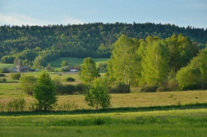 BGF0542i
