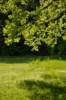 BGF0610i