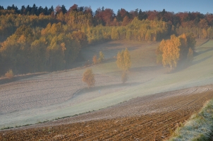 BGF9526i