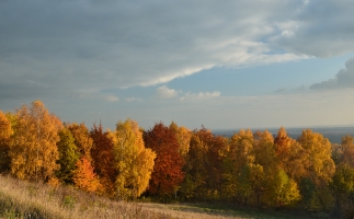 DSC2442