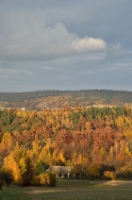 DSC2452